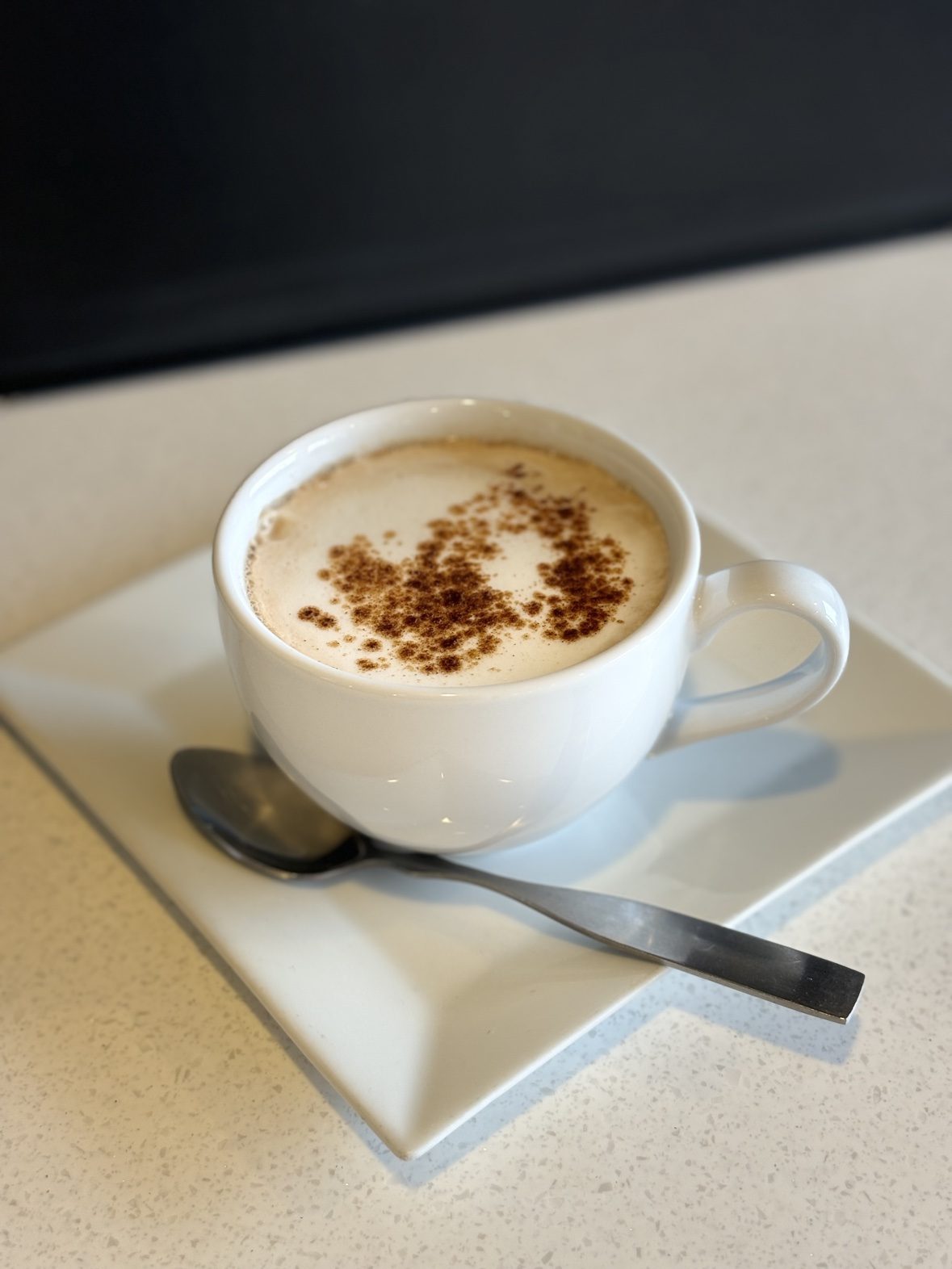 Fresh cappuccino with cinnamon